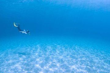 Let's swim with sea turtles in Yakushima!Snorkeling Tour