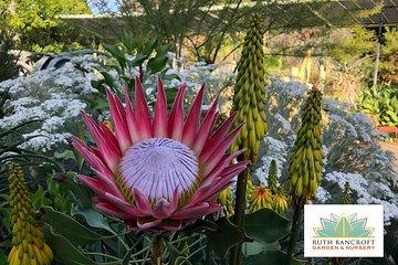 Ruth Bancroft Garden General Admission Ticket