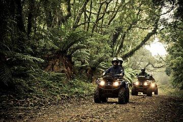 Quadricycle Tour to the Hills with Off Road 15km - 2 people