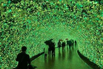 Half-day tour to enjoy Japan's largest illumination and outlet