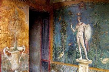 Pompeii Ruins and Museum Naples Pick Up from Castellabate Paestum