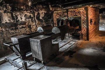 Auschwitz & Birkenau Live Guide Tour Entrance Ticket