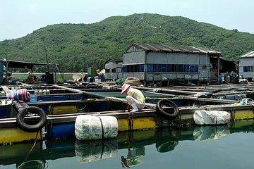 Authentic Fishing Village Tour with Great Seafood Lunch & Relaxing Beach Time