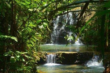 Port of Suva - Private Tour
