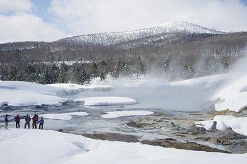 Fluffy New Snow and the Earth beating, Goshougake Oyunuma Snowshoeing Tour