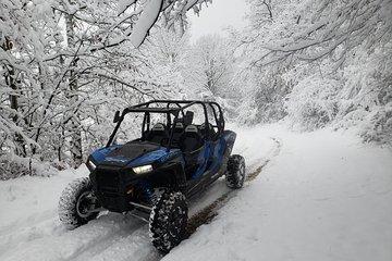 Private Buggy Experience All Seasons in Pamporovo