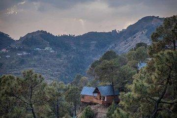 Shimla Treehouse Stay