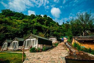 Luxury Camping Trip in Shimla