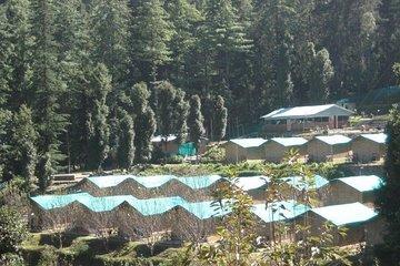 Swiss Tent Camping in Shimla