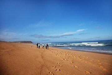 1 day surfing with Atlantic Coast Surf School