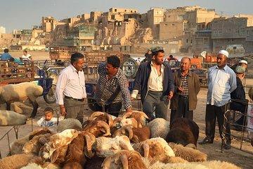 Xinjiang Best Classic Silk Road Tour with Locals