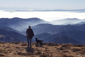 Black Forest Tour by car - Quick Tour from Freiburg