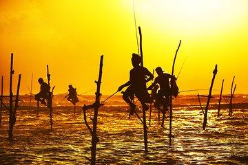 Southern Sri Lanka Sightseeing Private Day Trip