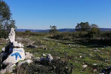 E-bike from Nazaré to Fátima on Paths of Faith, full-day
