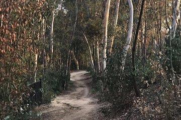 Fullerton Loop eMTB Experience - (Beginner)