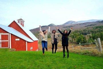 Small Group Tour in Stowe, Vermont