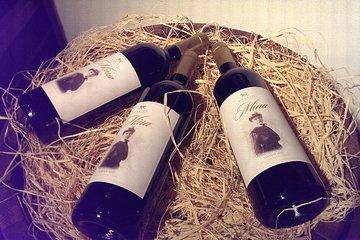 Revival Town Of Elena Tour with Wine Tasting from Veliko Tarnovo