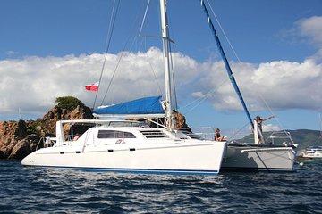 Private Group Day Diving Safari on Catamaran from Sint Maarten.
