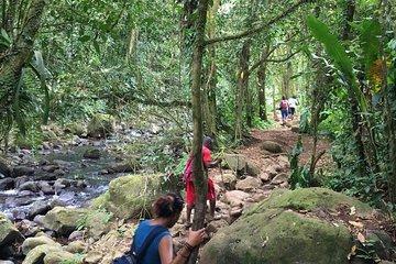 Small-Group Hiking Adventure through Grand Etang National Park in Grenada