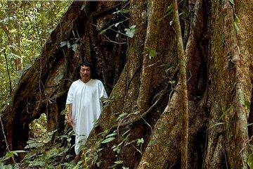 Lacandona Jungle 1 Day (hiking)