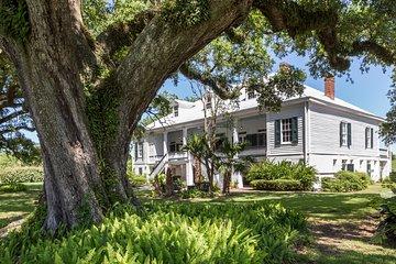 St. Joseph Plantation Tour