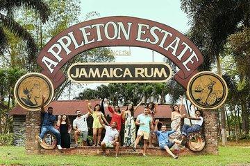 Appleton Estate Rum and Black River Safari Private Tour
