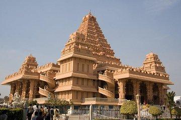 Private Cultural Full-Day Tour in Delhi Temples