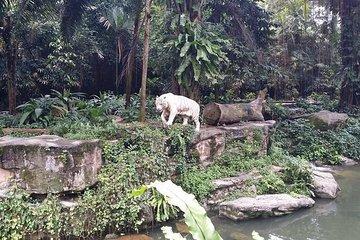 River Wonder with Amazon River Quest, Mandai wildlife Singapore