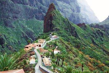 Volcano Teide - Masca ravine. Guided Tour from Puerto de la Cruz - Tenerife