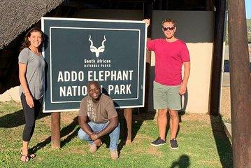 Addo Elephant National Park Day Tour from Port Elizabeth