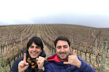 Private Wine Tour with a Sommelier from Assisi - dinner included in Montefalco