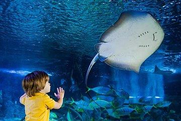 SEA LIFE Manchester Admission Ticket