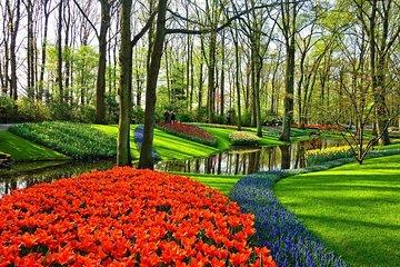 Tour to the Keukenhof Tulip fields from The Hague