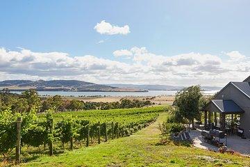 Private West Tamar Wine Tour