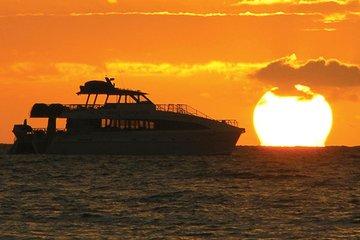 San Diego Dolphin Watch Sunset Cruise Mission Bay on the Legacy