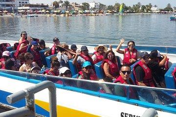 Paracas Full Day Tour