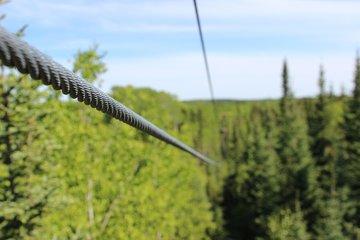 2 Hour Waskesiu Zipline Afternoon Adventure