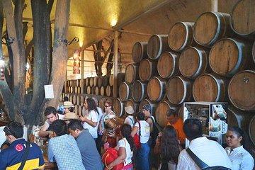 TEQUILA, The Spirit of Mexico PRIVATE TOUR