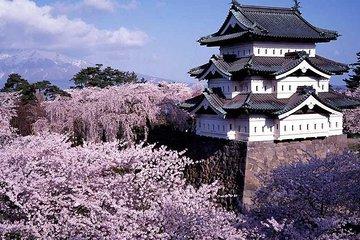 Hirosaki Full-Day Private Tour with Government-Licensed Guide