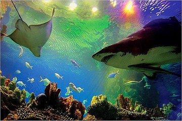Aquaria KLCC Ticket