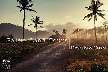 Riyadh City Tour ​