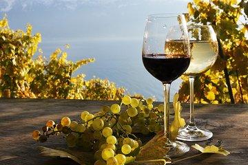 The Vine Tour from Lucerne (Private Tour)