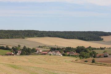 Private Half Day Champagne Tour – 2 Family Vineyard Visits