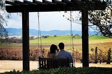 Private or Semi-Private Wine Tasting Tour from Paso Robles