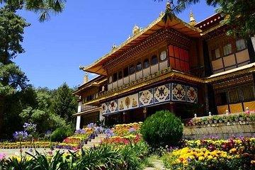 Overview of Tibet - 4 Days - Luxury accommodation