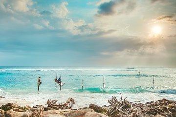 10 Days private round trip in Sri Lanka