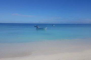 Arena Paradise Island excursions fell