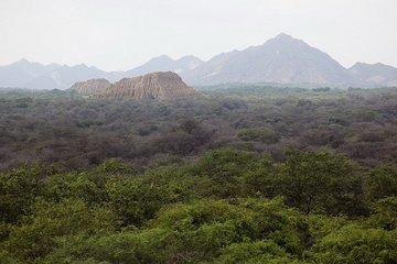 Pomac Forest Historic Sanctuary & Sican Museum