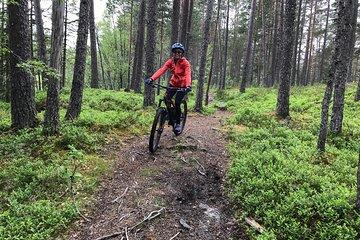 Mountain Bike - Voss Forest