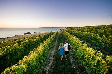 Private Marlborough Winery Tour